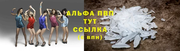 хмурый Гусев