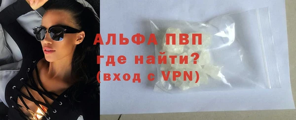 хмурый Гусев
