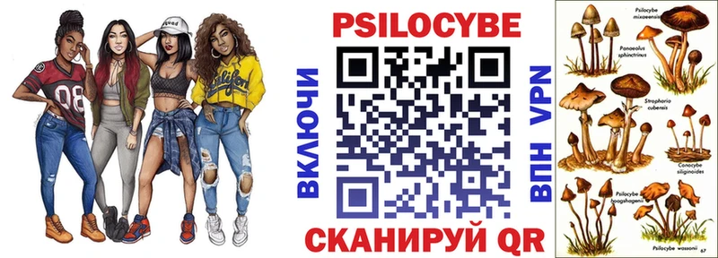 Купить Сафоново Псилоцибиновые грибы мицелий